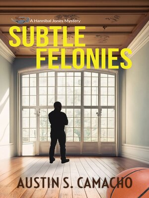 cover image of Subtle Felonies